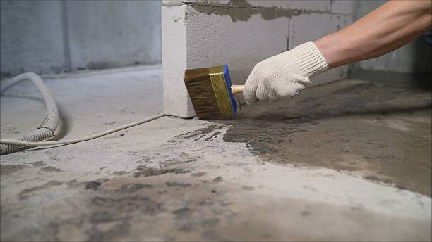 Top rated local Waterproofing specialists in Farmer, OH